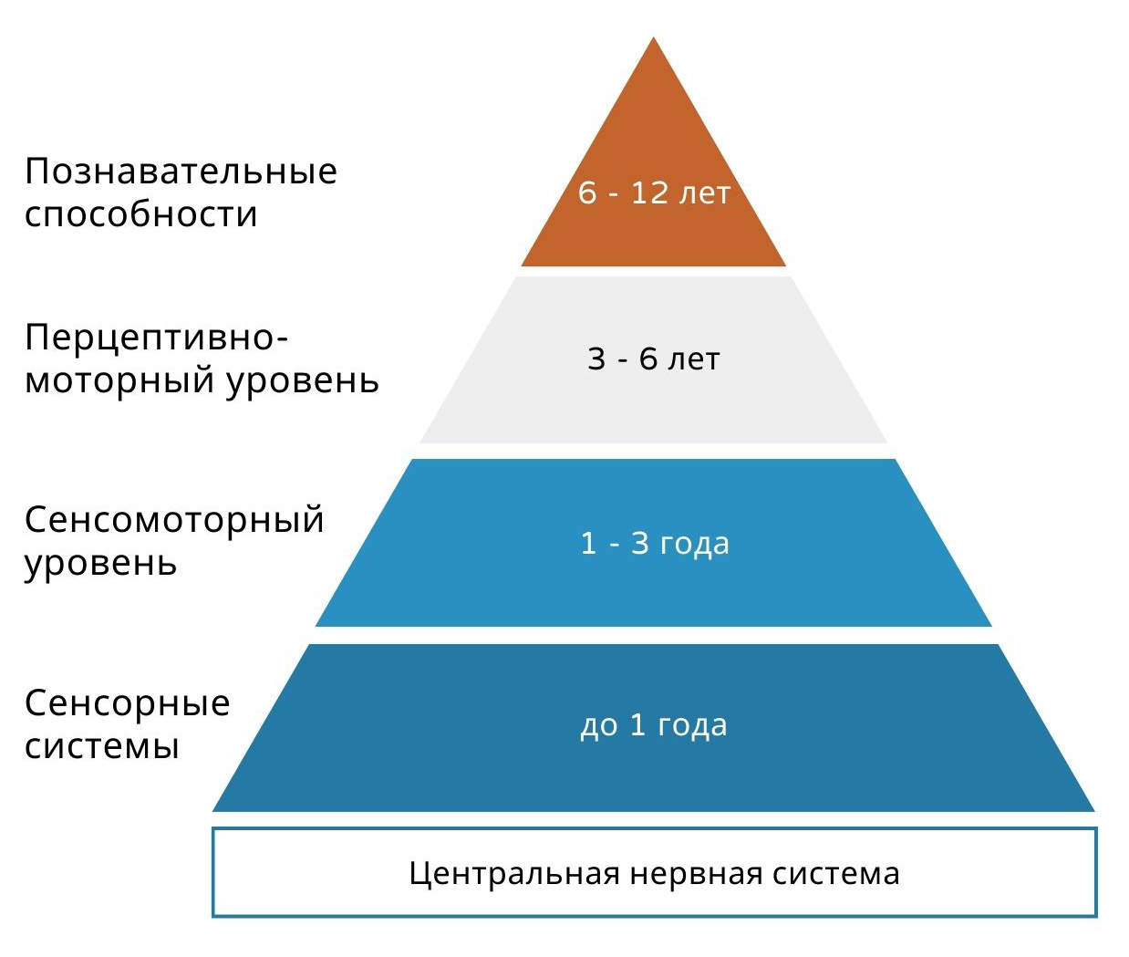 Детская терапия: нейроподход и игровое обучение в Кракове